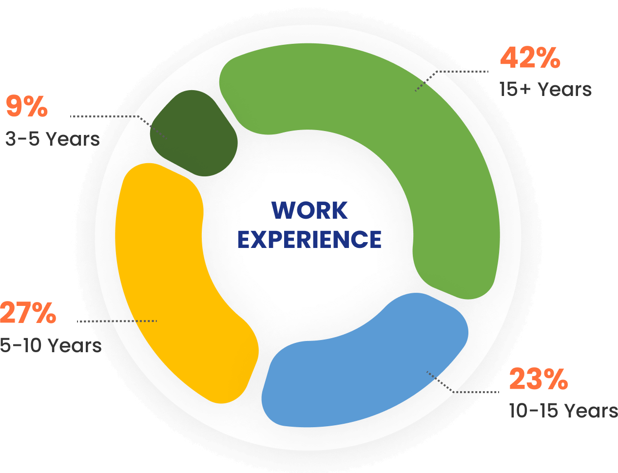 Work Experience Chart